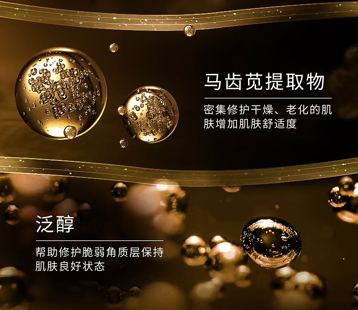微信图片_20250311102816.jpg